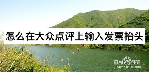 说说6如何在大众点评上输入发票抬头。