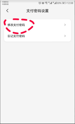 说说6云闪付的支付密码怎么设置。