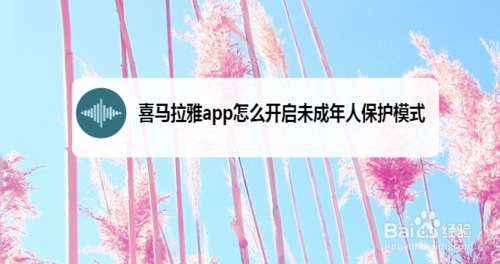 说说6喜马拉雅如何打开未成年人保护模式。