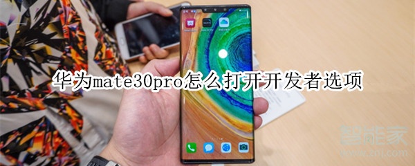 说说6华为mate30pro如何打开开发者选项。