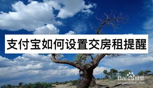 说说6支付宝如何设置交房租提醒。
