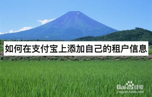 说说6怎么在支付宝上添加自己的租户信息。