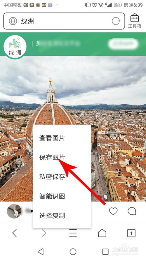 说说6绿洲如何保存图片到手机。