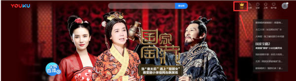 说说6优酷会员票券码如何使用。