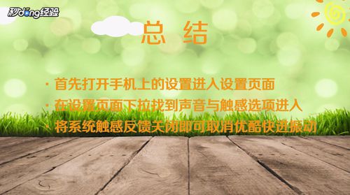 说说6优酷快进振动如何关闭。