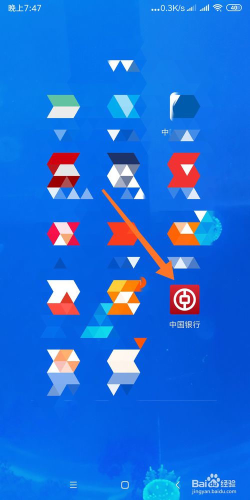 说说6怎么查看中国银行存款信息。