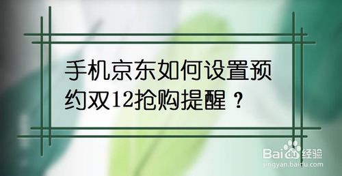说说6手机京东怎么设置预约双12抢购提醒。