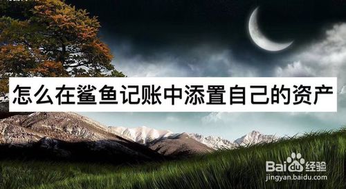 说说6如何在鲨鱼记账中添置自己的资产。