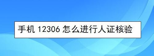 说说612306如何进行人证核验。