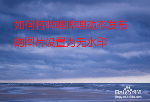 说说6哔哩哔哩动态发布图片怎么设置无水印。