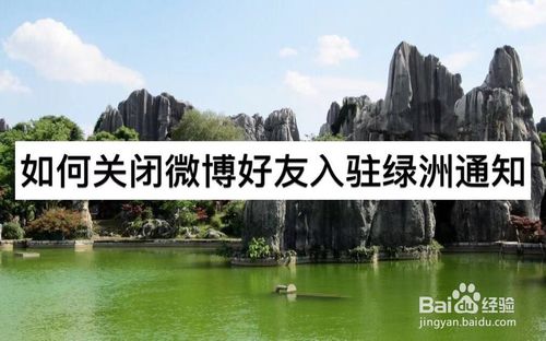 说说6怎么关闭微博好友入驻绿洲通知。