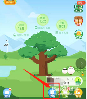 说说6蚂蚁森林如何获取更多能量。