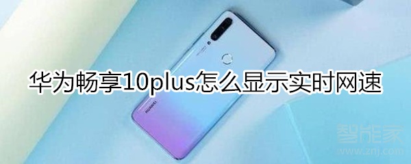 说说6华为畅享10plus实时网速在哪看。