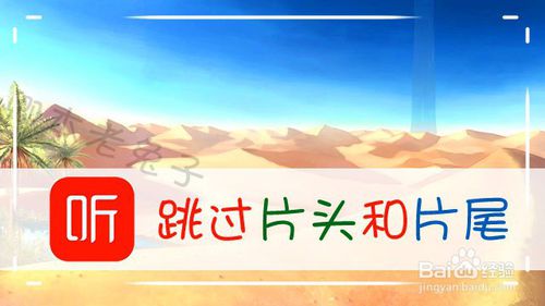 说说6喜马拉雅小说片头片尾怎么跳过。