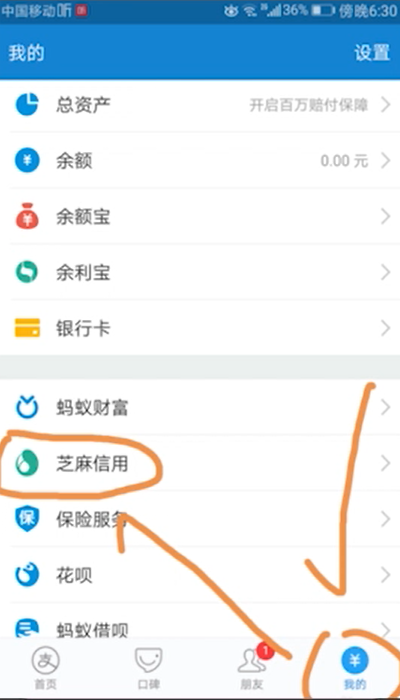 说说6支付宝在哪看征信。