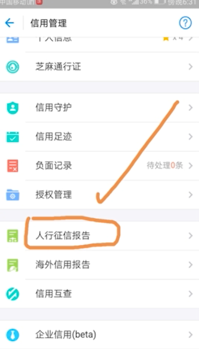 说说6支付宝在哪看征信。