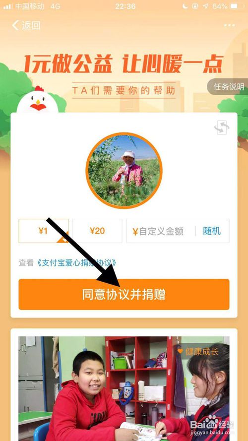 说说6支付宝蚂蚁庄园饺子饲料怎么得。