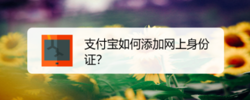 说说6支付宝网上身份证怎么添加。