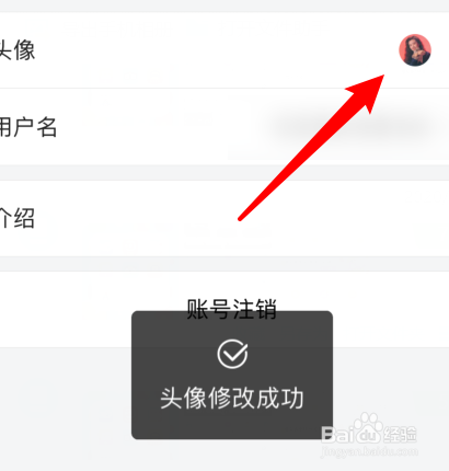 说说6懂车帝app如何更换头像。