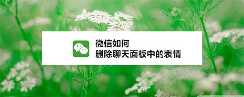说说6怎么清除微信中的表情。