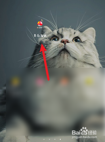 说说6羊毛省钱怎么清理缓存。