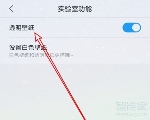 说说6小米9怎么取消透明壁纸。