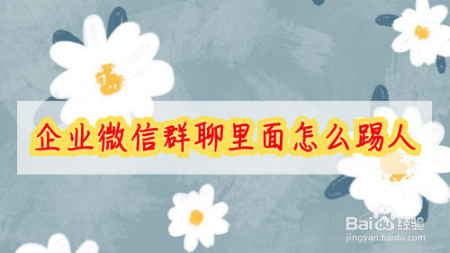 说说6企业微信群聊如何踢人出群。
