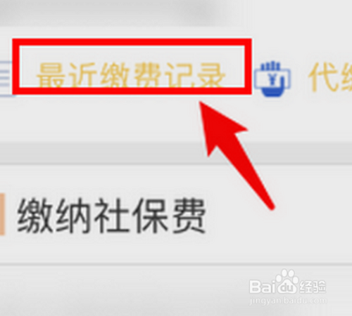 说说6怎么在网上查询新农合的缴费记录。