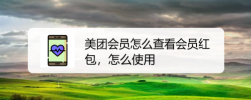 说说6美团会员红包在哪看。