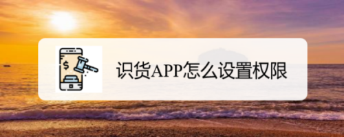 说说6如何设置识货APP权限。
