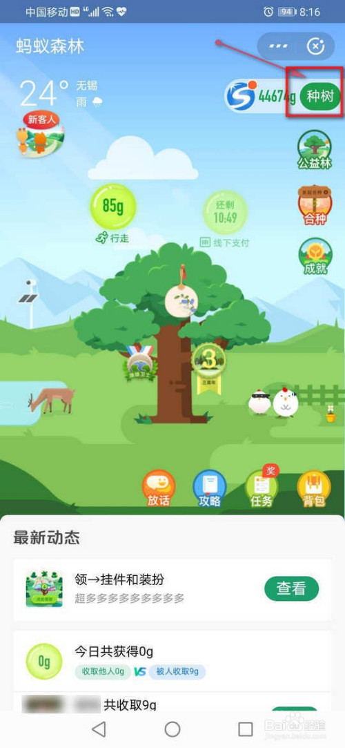 说说6支付宝种树有什么用处。
