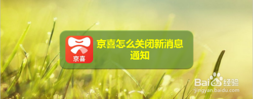 说说6京喜新消息通知在哪关。