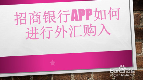 说说6招商银行App怎么进行外汇购汇。