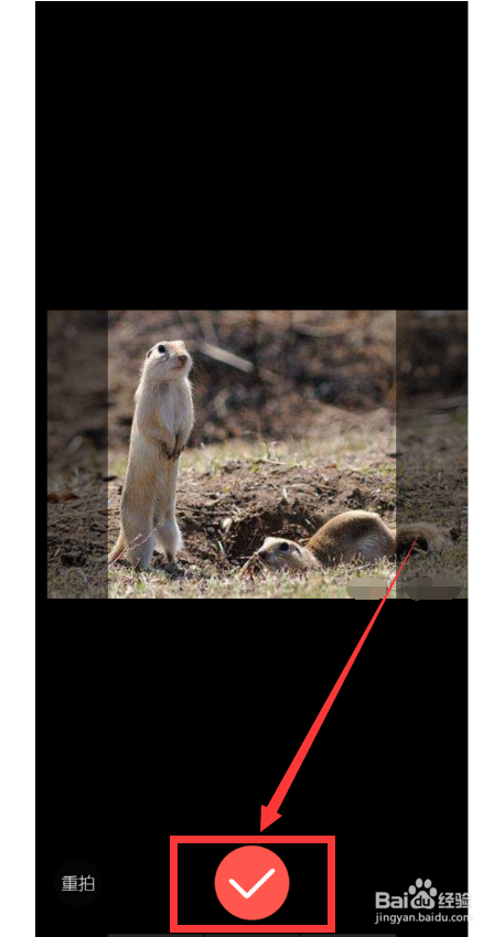 说说6快对作业头像怎么更换。