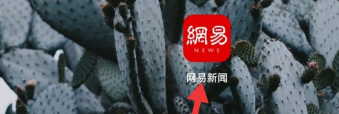 网易新闻极简主义皮肤怎么设置