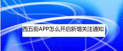 1604995308492884.png 说说6西五街新增关注怎么提示。