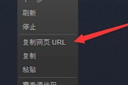 steam个人链接在哪里。