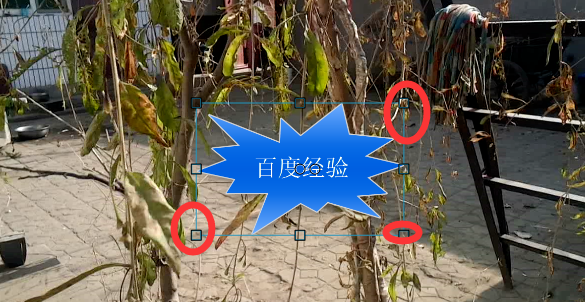 使用camtasia给视频添加注释的使用步骤。