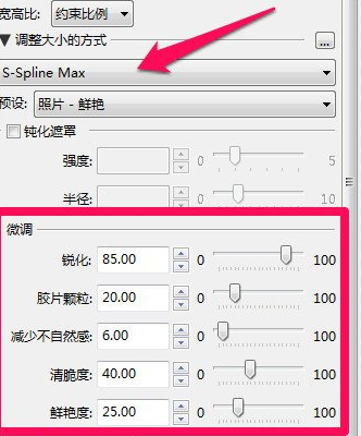 通过PhotoZoom放大图片不失真的操作过程。