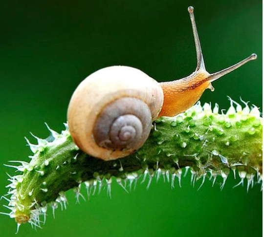 图片工厂使用体验,抠图更简单