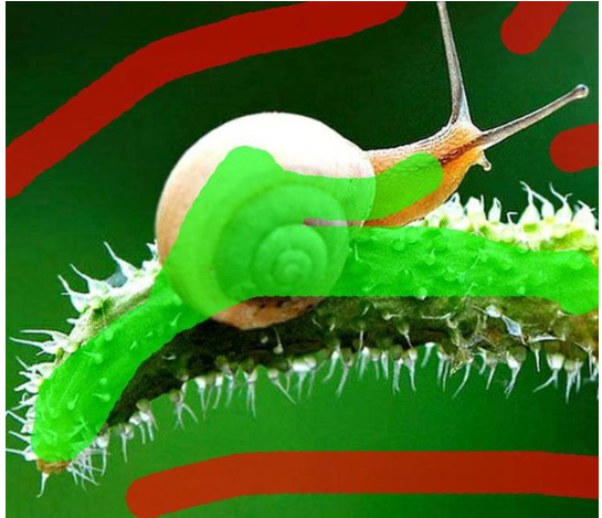 图片工厂使用体验,抠图更简单