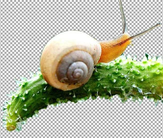 图片工厂使用体验,抠图更简单