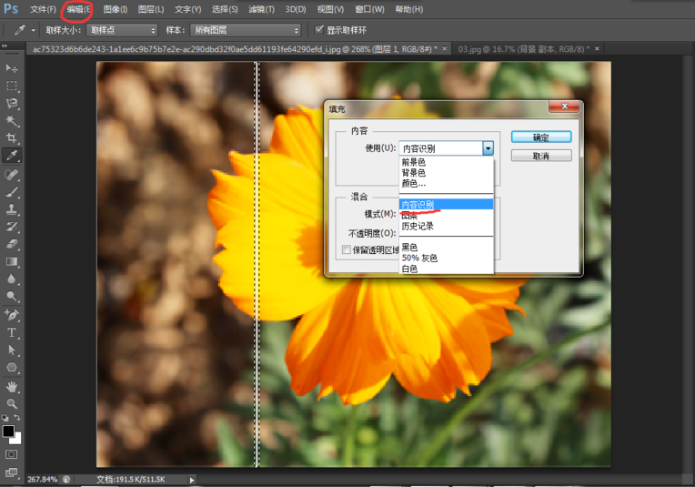 图片上有小瑕疵，可用PS内容识别工具来修补