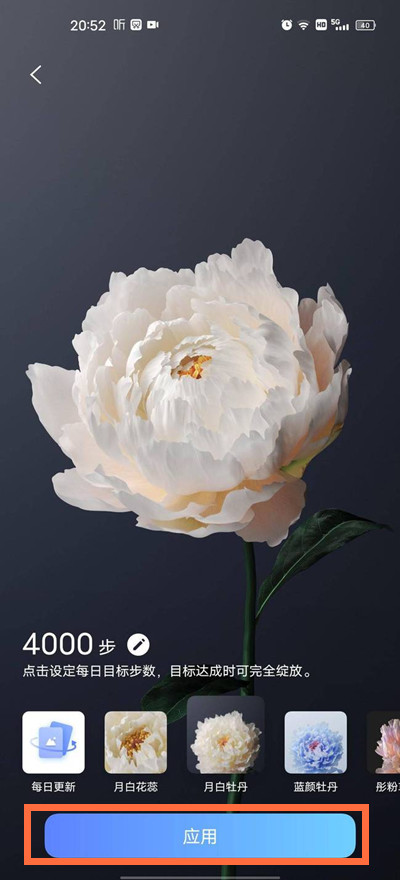 vivox60行为壁纸如何设置。