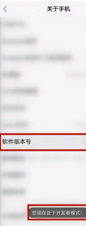 vivos7开发者选项在什么地方。