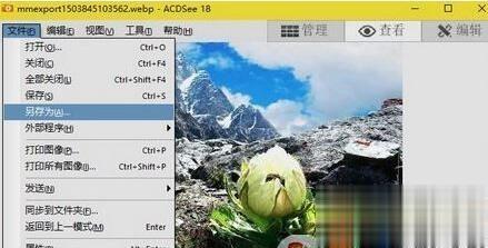 win10将webp转换为jpg格式图片的两种方法。