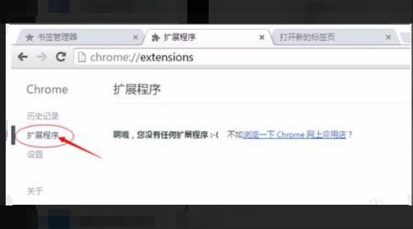 win10谷歌浏览器ie内核怎么使用。