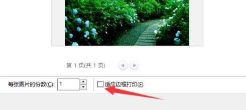 win10系统电脑怎么打印图片。