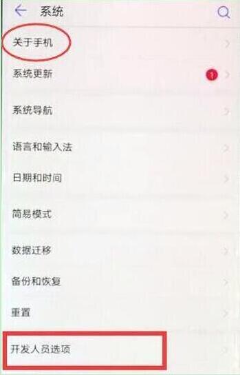 我来分享在华为p30pro中打开开发者选项的方法介绍。