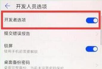 我来分享在华为p30pro中打开开发者选项的方法介绍。